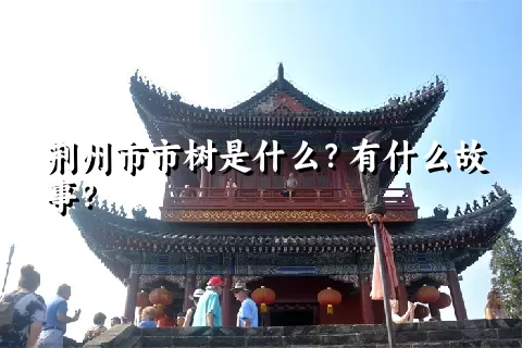 荆州市市树是什么？有什么故事？