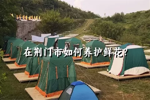 在荆门市如何养护鲜花？