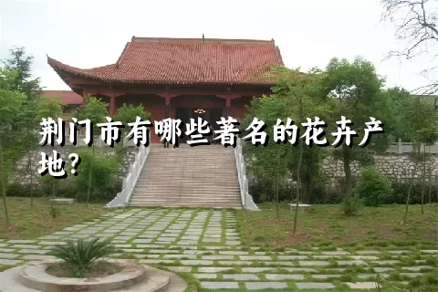 荆门市有哪些著名的花卉产地？