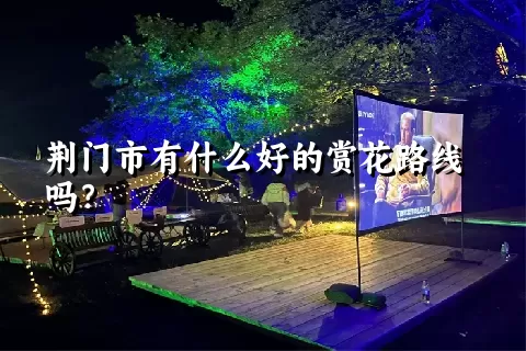 荆门市有什么好的赏花路线吗？