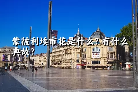 蒙彼利埃市花是什么？有什么典故？