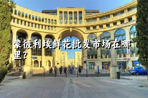 蒙彼利埃鲜花批发市场在哪里？