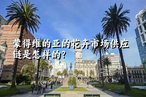 蒙得维的亚的花卉市场供应链是怎样的？