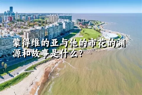 蒙得维的亚与他的市花的渊源和故事是什么？