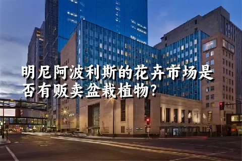 明尼阿波利斯的花卉市场是否有贩卖盆栽植物？