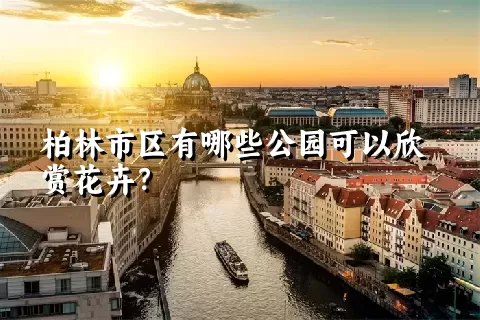 柏林市区有哪些公园可以欣赏花卉？