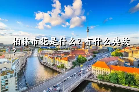 柏林市花是什么？有什么典故？