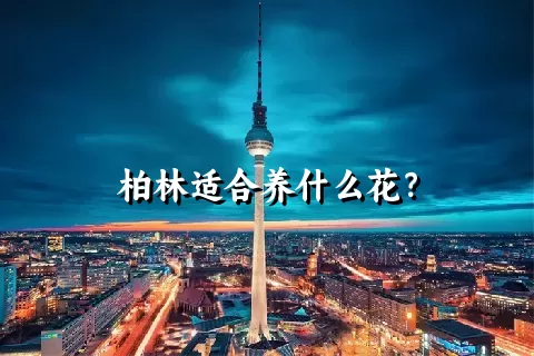 柏林适合养什么花？