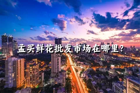 孟买鲜花批发市场在哪里？