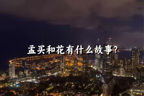 孟买和花有什么故事？