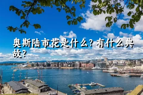 奥斯陆市花是什么？有什么典故？