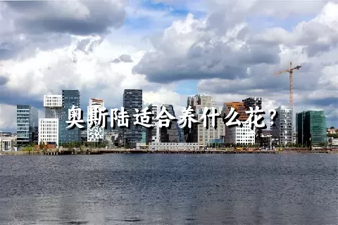 奥斯陆适合养什么花？