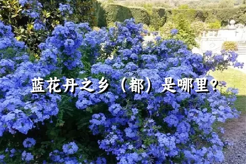 蓝花丹之乡（都）是哪里？