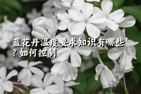 蓝花丹温度要求知识有哪些？如何控制