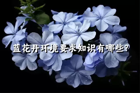 蓝花丹环境要求知识有哪些？