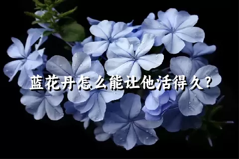 蓝花丹怎么能让他活得久？