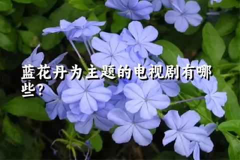 蓝花丹为主题的电视剧有哪些？