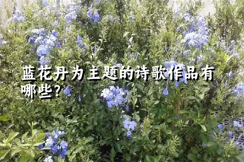 蓝花丹为主题的诗歌作品有哪些？