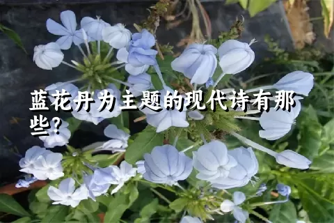 蓝花丹为主题的现代诗有那些？