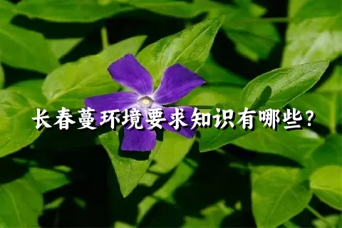 长春蔓环境要求知识有哪些？