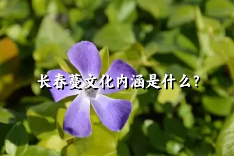 长春蔓文化内涵是什么？