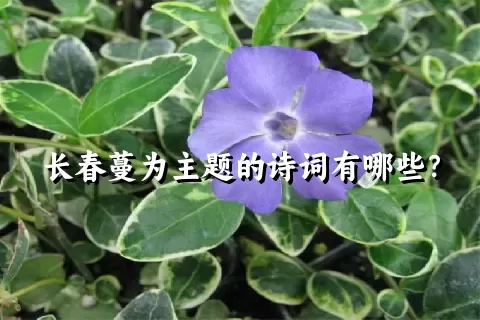 长春蔓为主题的诗词有哪些？