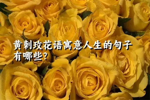 黄刺玫花语寓意人生的句子有哪些？