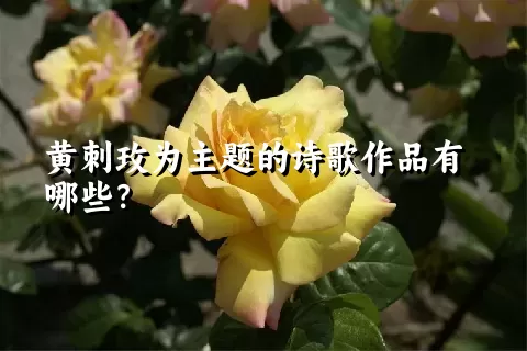 黄刺玫为主题的诗歌作品有哪些？