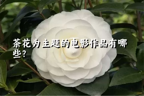 茶花为主题的电影作品有哪些？