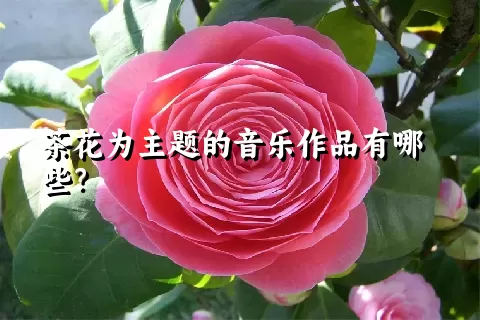 茶花为主题的音乐作品有哪些？