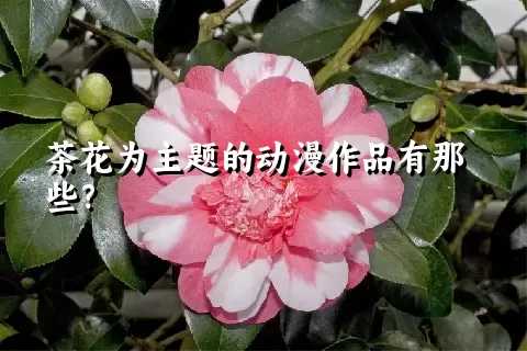 茶花为主题的动漫作品有那些？