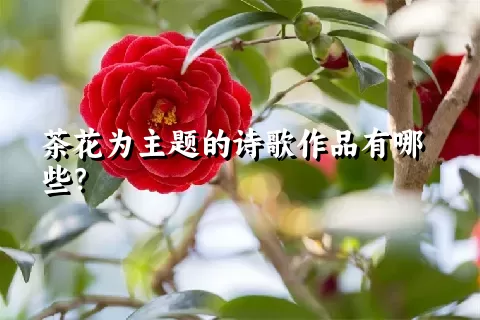 茶花为主题的诗歌作品有哪些？