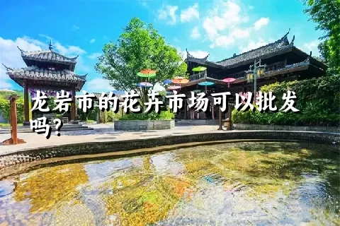 龙岩市的花卉市场可以批发吗？