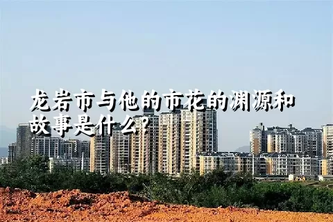 龙岩市与他的市花的渊源和故事是什么？