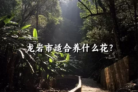 龙岩市适合养什么花？