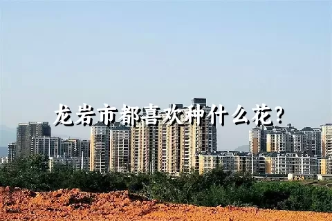 龙岩市都喜欢种什么花？