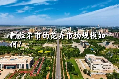 阿拉尔市的花卉市场规模如何？