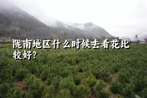 陇南地区什么时候去看花比较好？