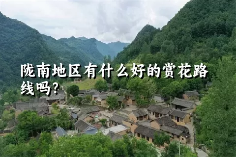 陇南地区有什么好的赏花路线吗？