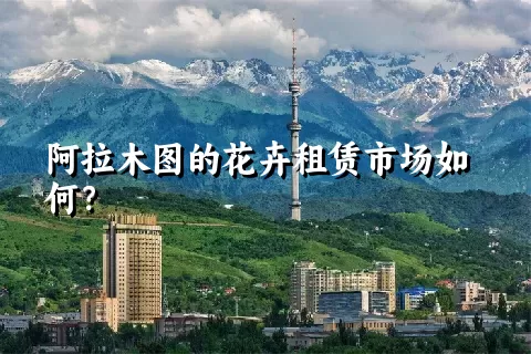 阿拉木图的花卉租赁市场如何？