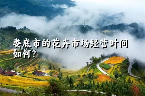 娄底市的花卉市场经营时间如何？