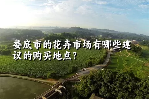 娄底市的花卉市场有哪些建议的购买地点？