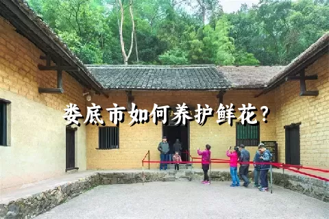 娄底市如何养护鲜花？