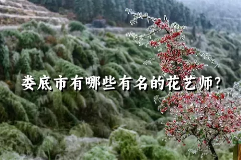 娄底市有哪些有名的花艺师？