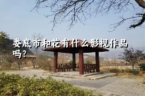 娄底市和花有什么影视作品吗？