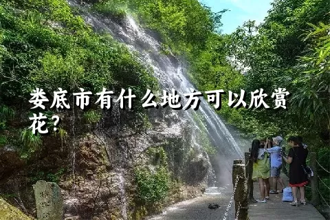 娄底市有什么地方可以欣赏花？