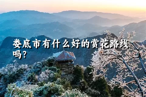 娄底市有什么好的赏花路线吗？