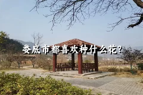 娄底市都喜欢种什么花？