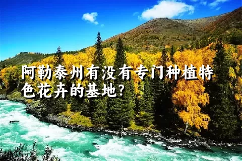 阿勒泰州有没有专门种植特色花卉的基地？