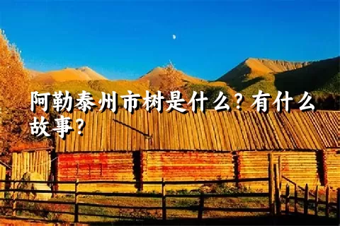 阿勒泰州市树是什么？有什么故事？